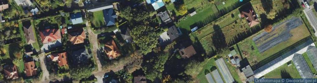 Zdjęcie satelitarne Klonowa ul.