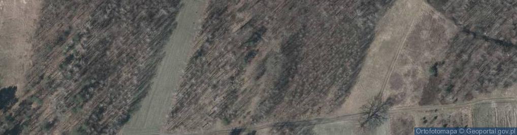 Zdjęcie satelitarne Kormoranów ul.