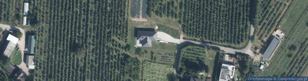 Zdjęcie satelitarne Konwaliowa ul.