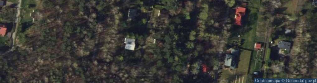 Zdjęcie satelitarne Kopernika Mikołaja ul.