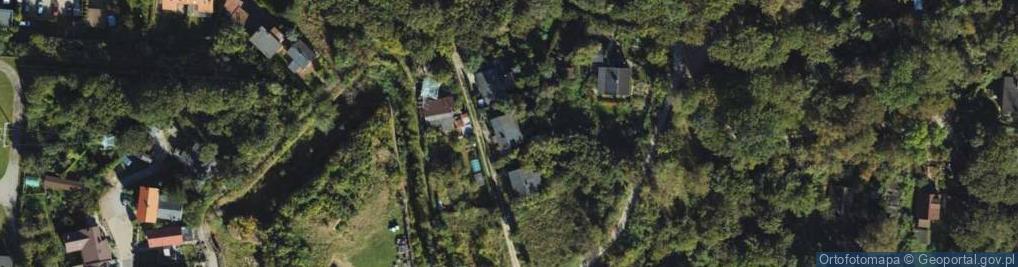 Zdjęcie satelitarne Kolonia Anielinki ul.