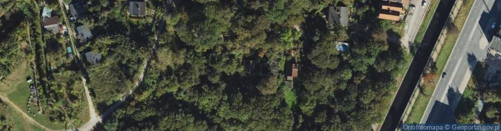 Zdjęcie satelitarne Kolonia Anielinki ul.