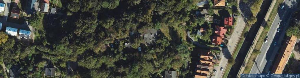 Zdjęcie satelitarne Kolonia Anielinki ul.