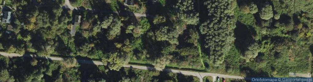 Zdjęcie satelitarne Kolonia Mysia ul.