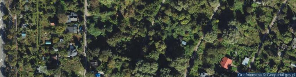 Zdjęcie satelitarne Kolonia Uroda ul.