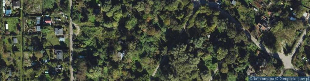 Zdjęcie satelitarne Kolonia Uroda ul.
