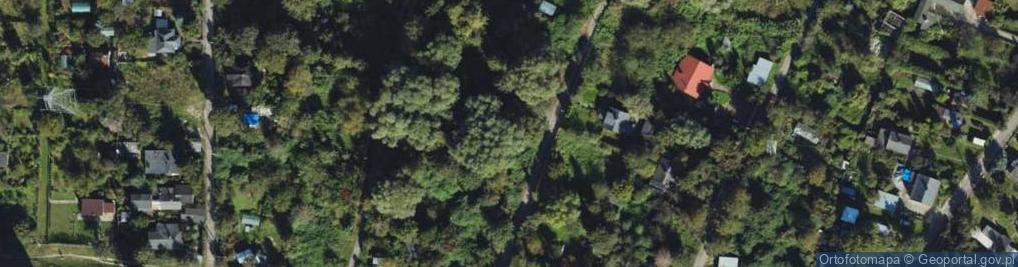 Zdjęcie satelitarne Kolonia Uroda ul.