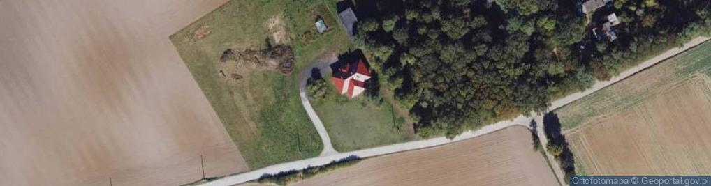 Zdjęcie satelitarne Kolonia Papowska ul.