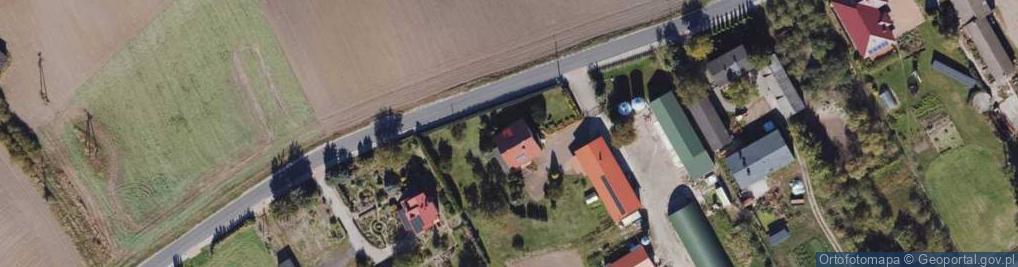 Zdjęcie satelitarne Kolonia Papowska ul.