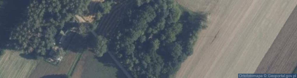 Zdjęcie satelitarne Kolonia ul.