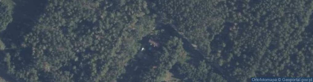 Zdjęcie satelitarne Kolonia ul.