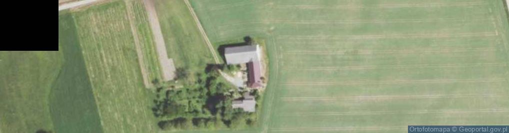 Zdjęcie satelitarne Kolonia Grzybów ul.