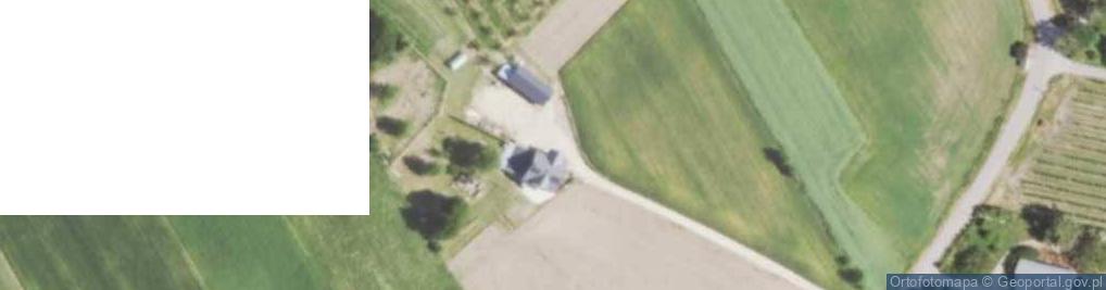 Zdjęcie satelitarne Kolonia Grzybów ul.