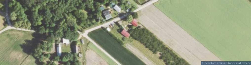 Zdjęcie satelitarne Kolonia Grzybów ul.
