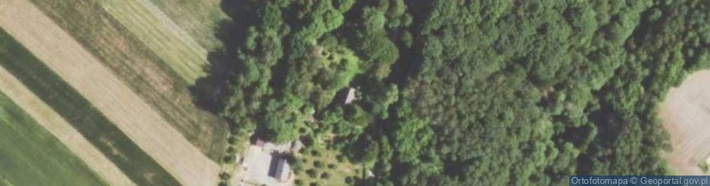 Zdjęcie satelitarne Kolonia Grzybów ul.