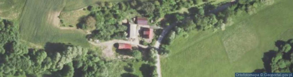 Zdjęcie satelitarne Kolonia Grzybów ul.