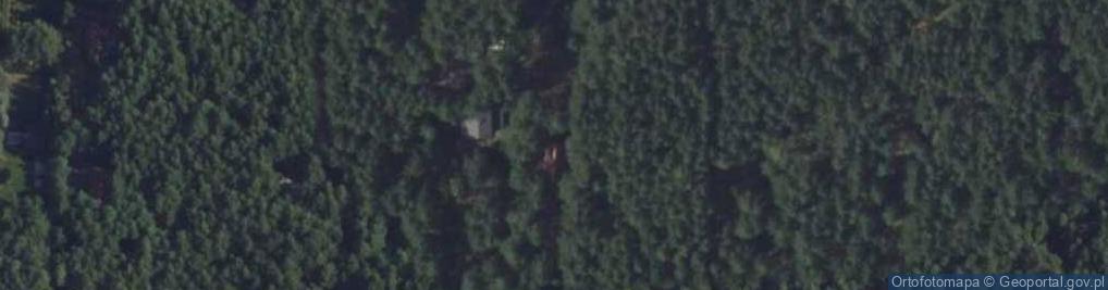 Zdjęcie satelitarne Konwaliowa ul.