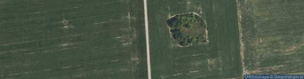 Zdjęcie satelitarne Kolczyn ul.