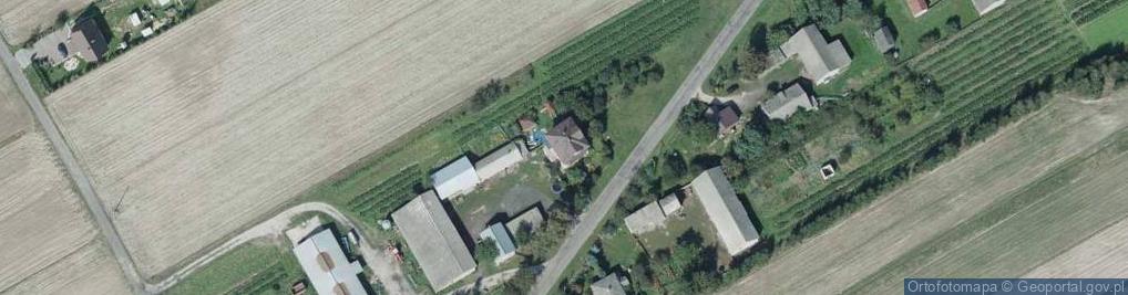 Zdjęcie satelitarne Kolechowice-Kolonia ul.