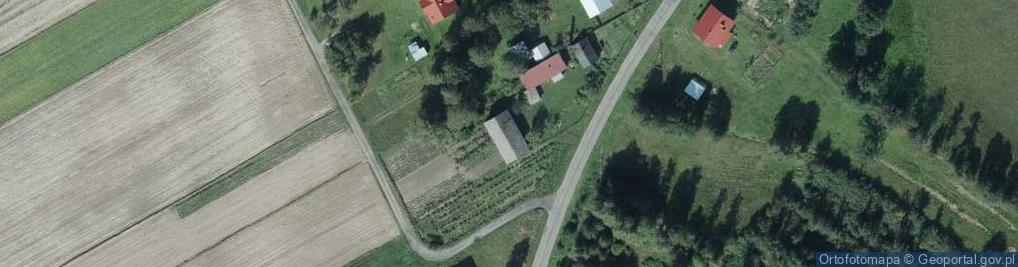 Zdjęcie satelitarne Kolechowice-Kolonia ul.