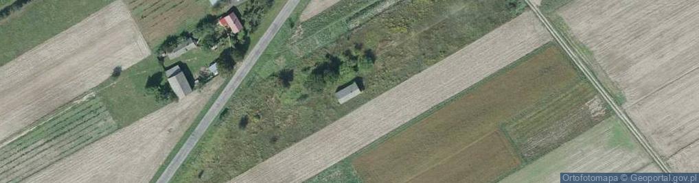 Zdjęcie satelitarne Kolechowice-Kolonia ul.