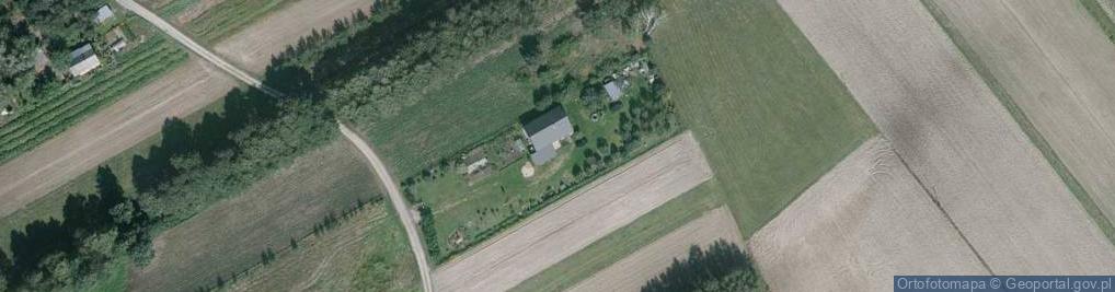Zdjęcie satelitarne Kolechowice-Kolonia ul.