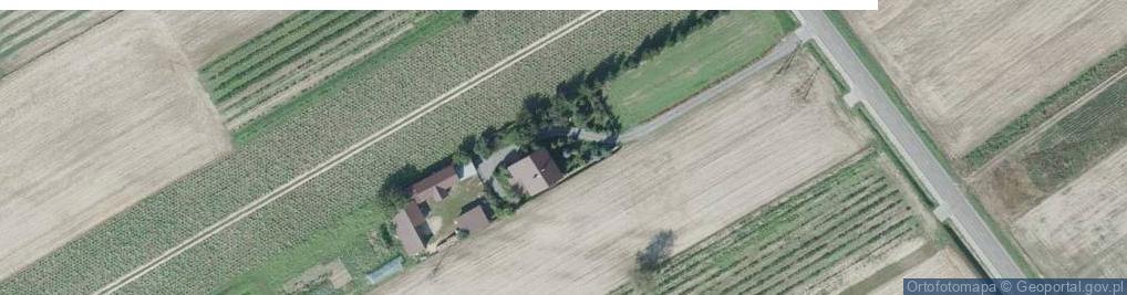 Zdjęcie satelitarne Kolechowice ul.