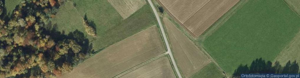 Zdjęcie satelitarne Kołkówka ul.