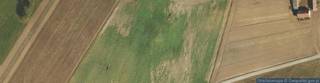 Zdjęcie satelitarne Kolonia Chalin ul.