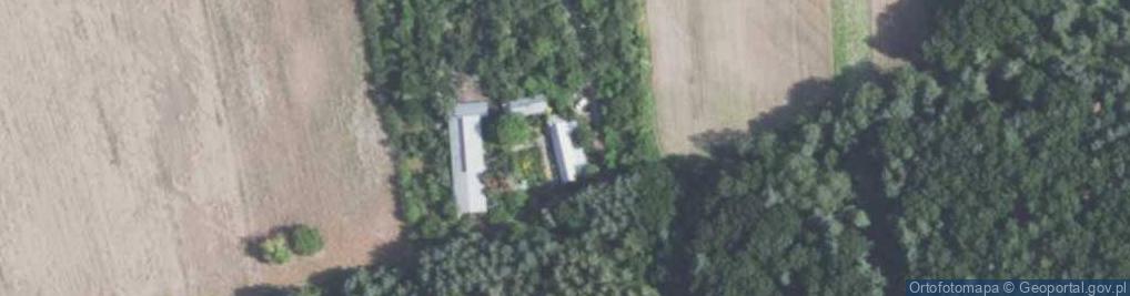Zdjęcie satelitarne Kolonia Dąbrówka ul.