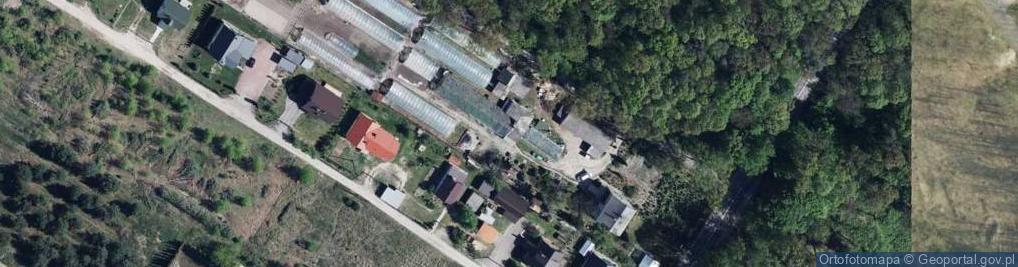 Zdjęcie satelitarne Kolonia Góra Puławska ul.