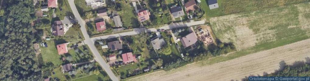 Zdjęcie satelitarne Kolonia Lesiów ul.