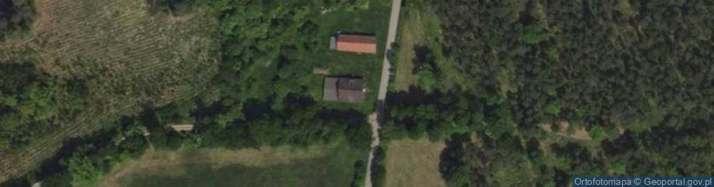 Zdjęcie satelitarne Kolonia Lisów ul.