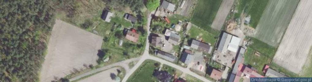 Zdjęcie satelitarne Kolonia Lisów ul.