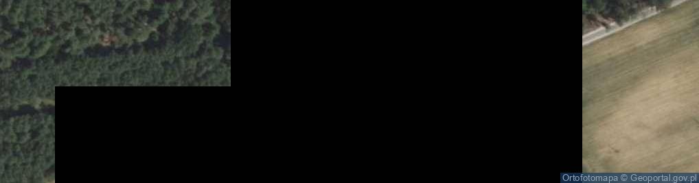 Zdjęcie satelitarne Kolonia Przybyszewo ul.