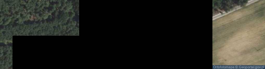 Zdjęcie satelitarne Kolonia Przybyszewo ul.