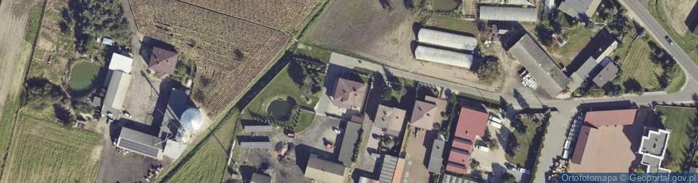 Zdjęcie satelitarne Kolonia Skarszewek ul.