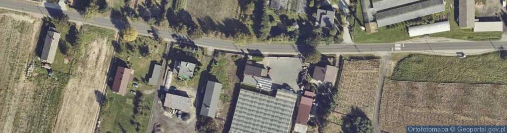 Zdjęcie satelitarne Kolonia Skarszewek ul.