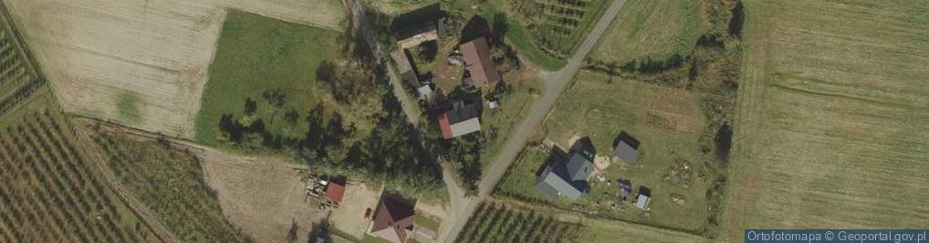Zdjęcie satelitarne Kolonia Wierzbie ul.