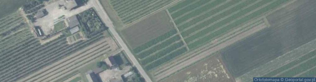 Zdjęcie satelitarne Kolonia Wola Pawłowska ul.