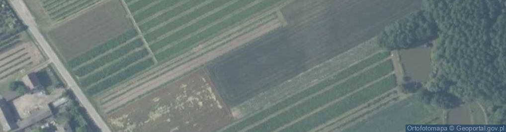 Zdjęcie satelitarne Kolonia Wola Pawłowska ul.