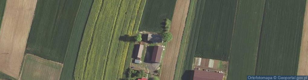 Zdjęcie satelitarne Kolonia Wola Piasecka ul.