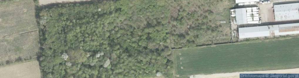 Zdjęcie satelitarne Kolejowa ul.