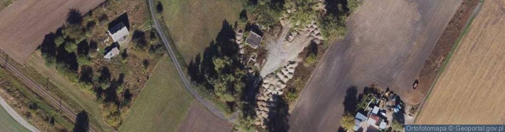 Zdjęcie satelitarne Kończewice ul.