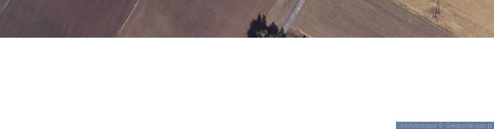 Zdjęcie satelitarne Kończewice ul.
