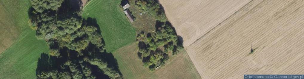 Zdjęcie satelitarne Konopczyn ul.