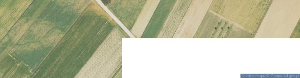 Zdjęcie satelitarne Konopki Tłuste ul.