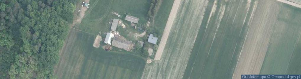 Zdjęcie satelitarne Koryciny ul.