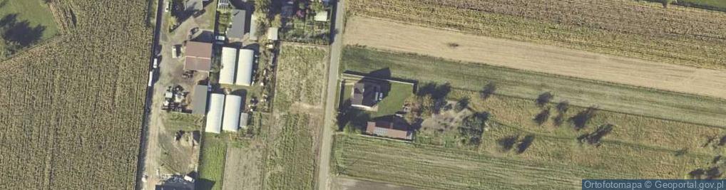 Zdjęcie satelitarne Korzeniew ul.