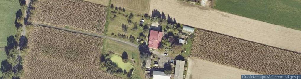 Zdjęcie satelitarne Kościelec-Kolonia ul.